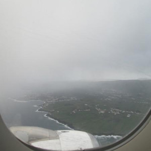 IMG 7381