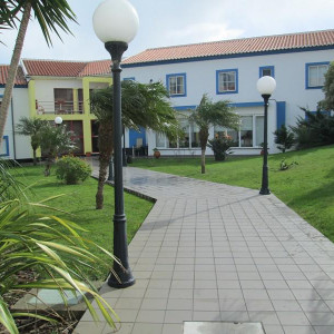IMG 7384