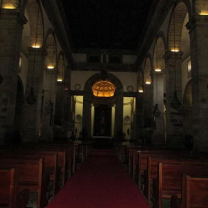 IMG 7398