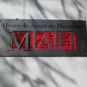 IMG 7433