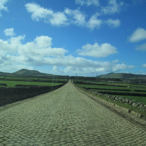 IMG_7627.JPG