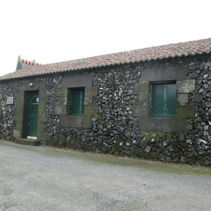 IMG 7668