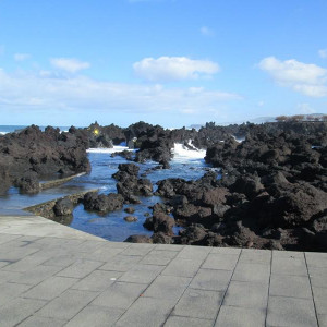 IMG 7694