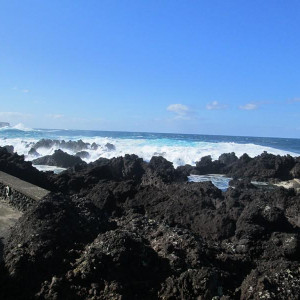IMG 7706