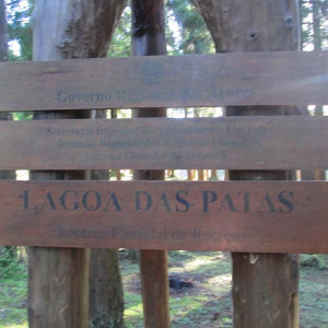 IMG 7751