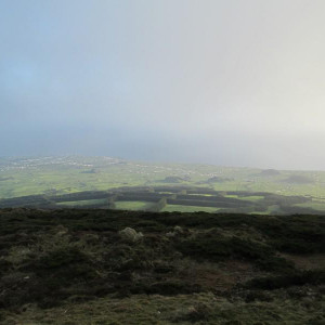 IMG 7797