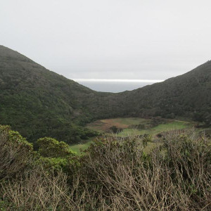 IMG_7892.JPG
