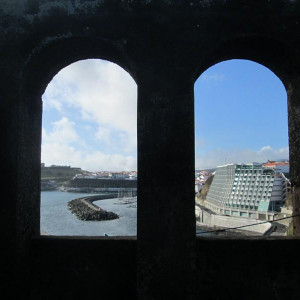 IMG_7941.JPG