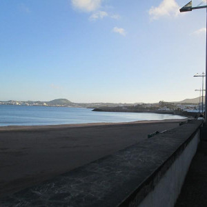 IMG_7972.JPG