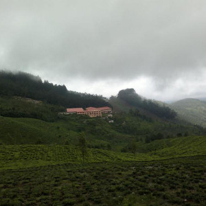 India 091