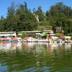 ooty lake