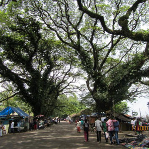 IMG 0900