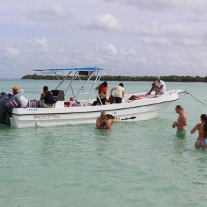 republica dominicana 856