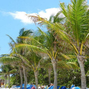 MEXICO CATALONIA PLAYA MAROMA 2011