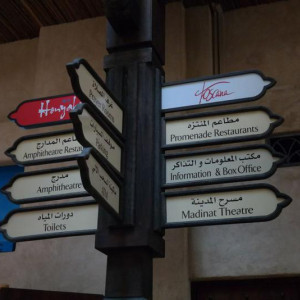 03110957 (Cópia).JPG