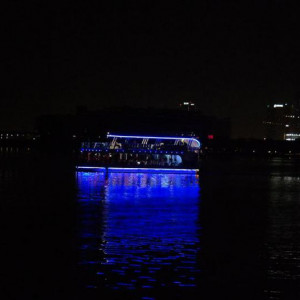 03111066 (Cópia).JPG