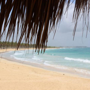 republica dominicana 082
