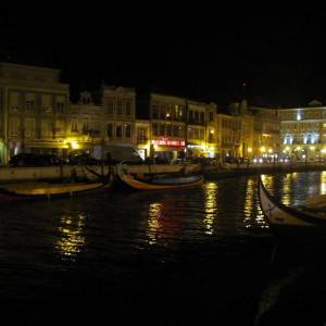 IMG 4390
