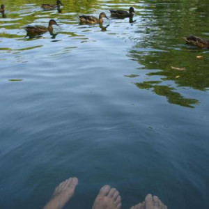 Lago do Parque da Cidade