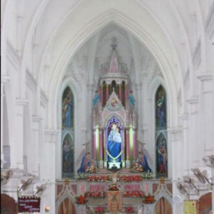 IMG 1358