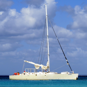 Ilha Saona