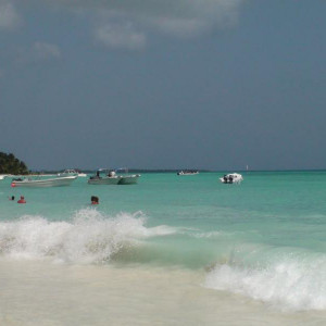 DSC02368