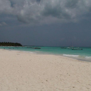 DSC02348