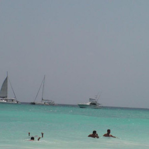 DSC02359