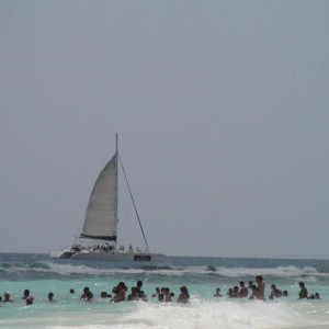 DSC02362