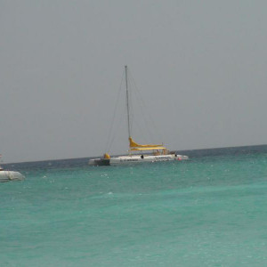 DSC02366