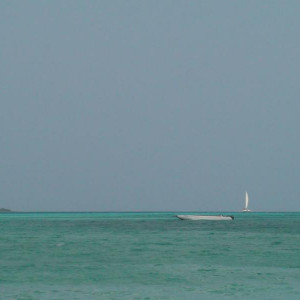 DSC02371