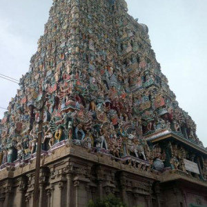 India 131