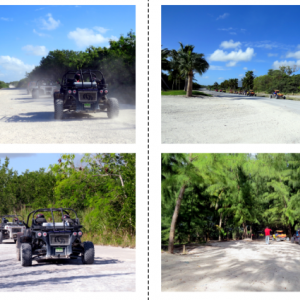 Buggies