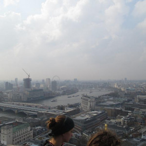 IMG 0351