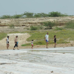 DSCN0062