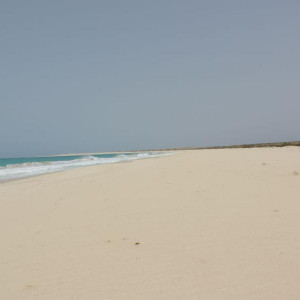 DSCN0074