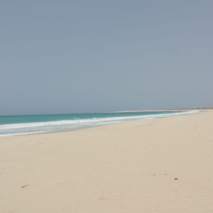 DSCN0075