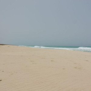 DSCN0076