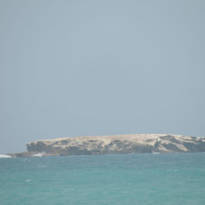 DSCN0081