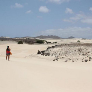 Deserto Viena