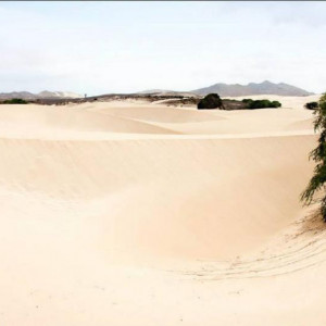 Deserto Viana 01