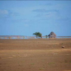 Terra boa