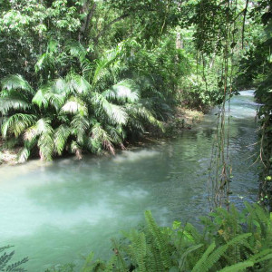 2014.07.27   002 Martha Brae River