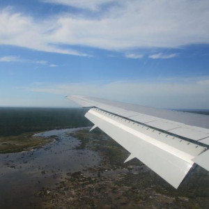 DSC 3987