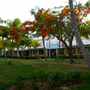 DSC 4013