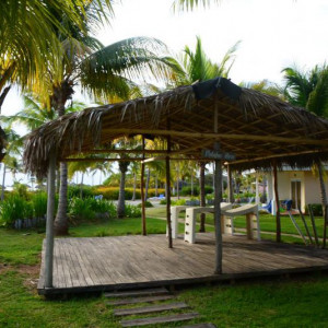 DSC 4317