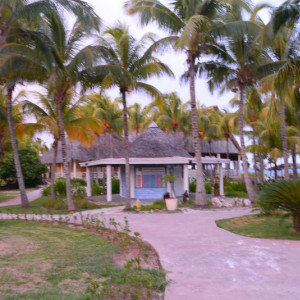 DSC 4261