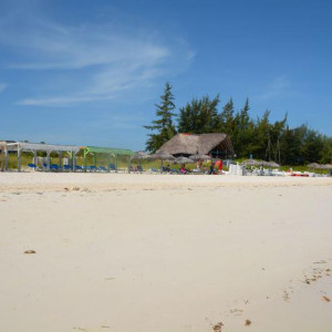 DSC 4193