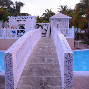 DSC 4262