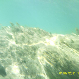SUNP0537